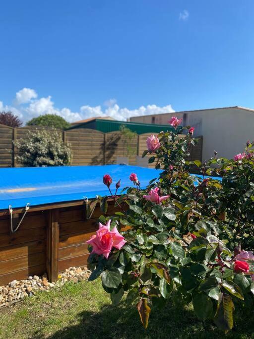 Jolie Petite Maison Renovee Piscine Saint-Palais-sur-Mer Kültér fotó